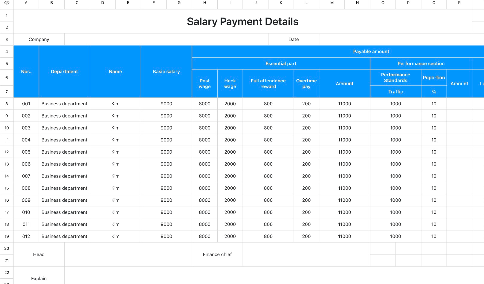 Salary Payment Details